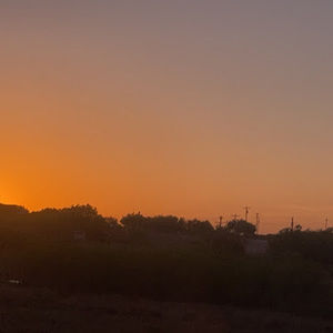 Meet your Posher, Aylin